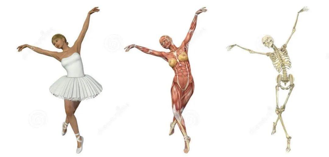 享誉国际的东方天鹅公主：魅力形体芭蕾舞，极致控肌法，美得更快、更持久！-第26张图片-爱课啦